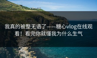 我真的被整无语了——糖心vlog在线观看！看完你就懂我为什么生气