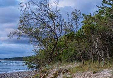 这事我越想越不对劲；糖心官网vlog - 随手一搜，越往下越离谱！！看懂的人自然懂